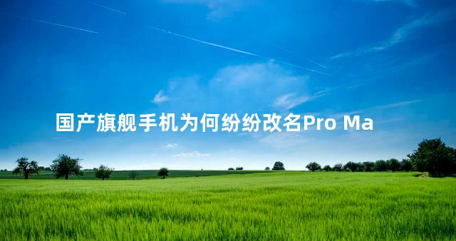 国产旗舰手机为何纷纷改名Pro Max